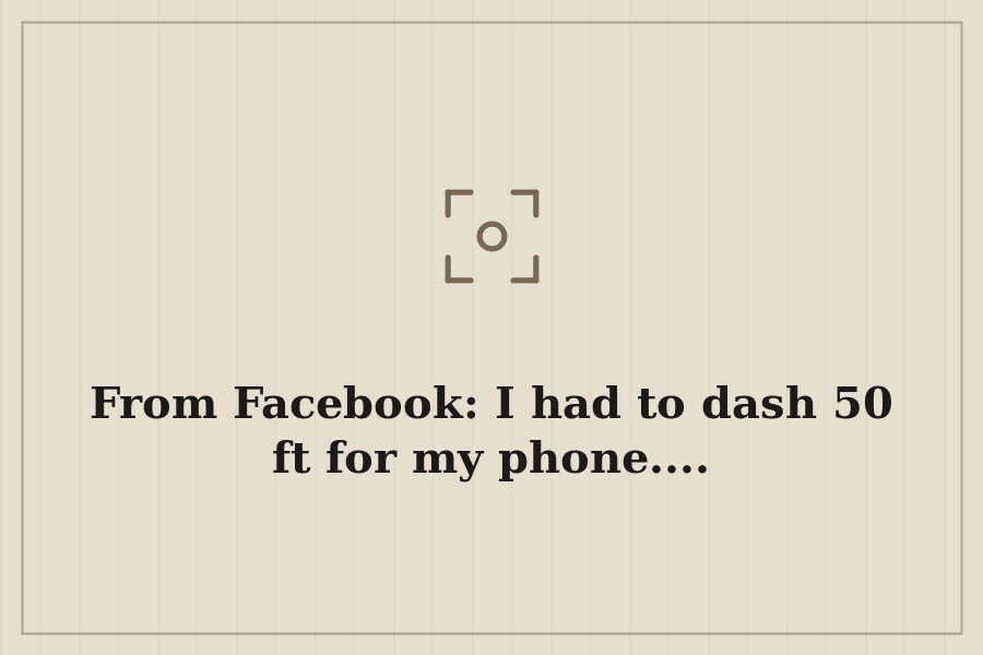 From Facebook: I had to dash 50 ft for my phone.... — cover