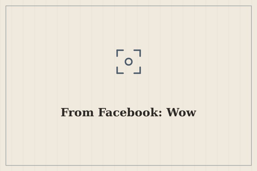 From Facebook: Wow — cover