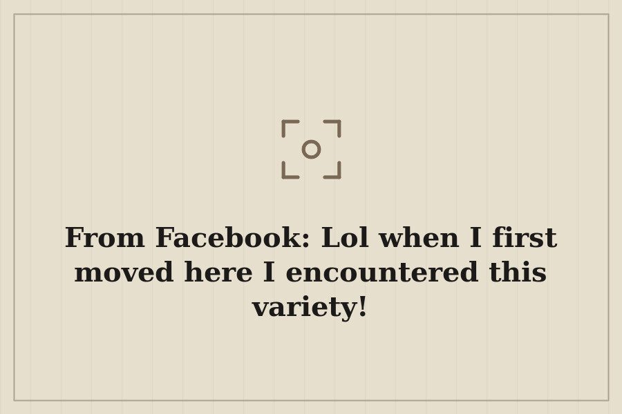 From Facebook: Lol when I first moved here I encountered this variety! — cover