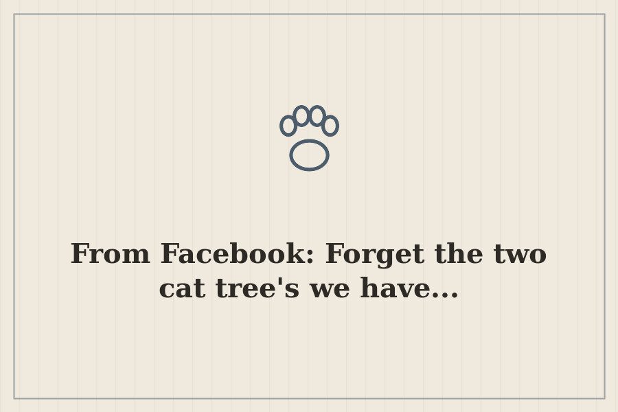 From Facebook: Forget the two cat tree's we have... — cover