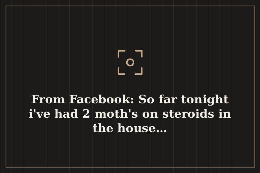 From Facebook: So far tonight i've had 2 moth's on steroids in the house… — cover