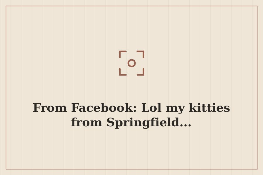 From Facebook: Lol my kitties from Springfield... — cover