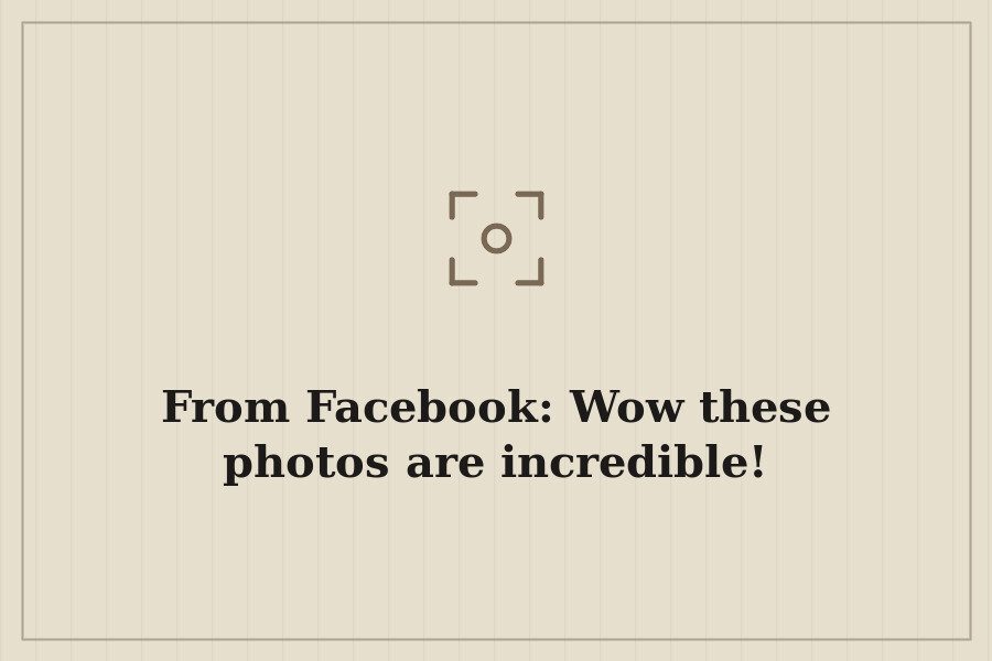 From Facebook: Wow these photos are incredible! — cover