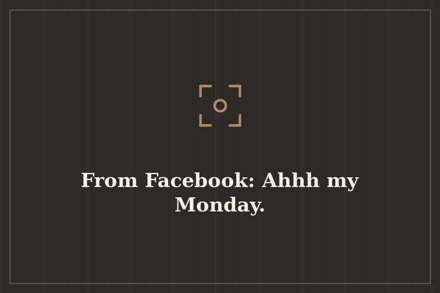 From Facebook: Ahhh my Monday. — cover