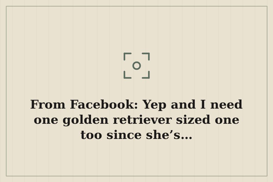 From Facebook: Yep and I need one golden retriever sized one too since she’s… — cover