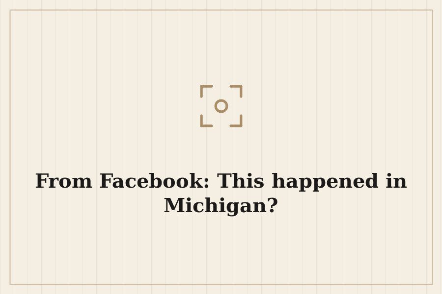 From Facebook: This happened in Michigan? — cover