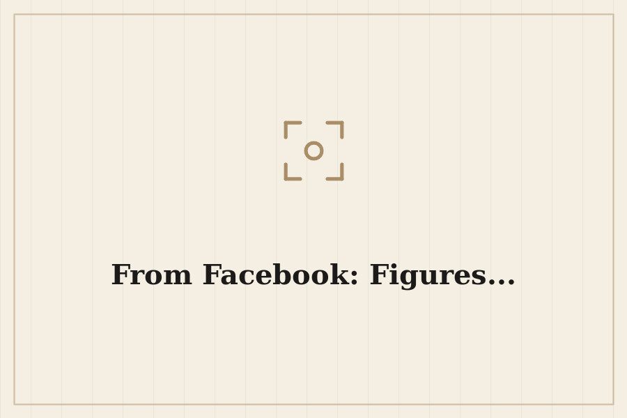 From Facebook: Figures... — cover