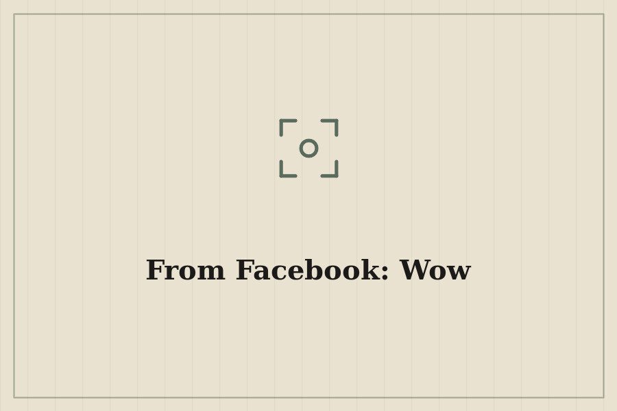 From Facebook: Wow — cover