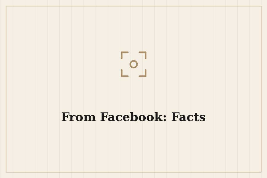 From Facebook: Facts — cover