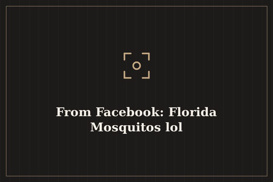 From Facebook: Florida Mosquitos lol — cover