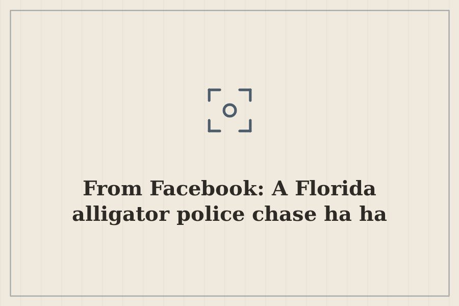 From Facebook: A Florida alligator police chase ha ha — cover