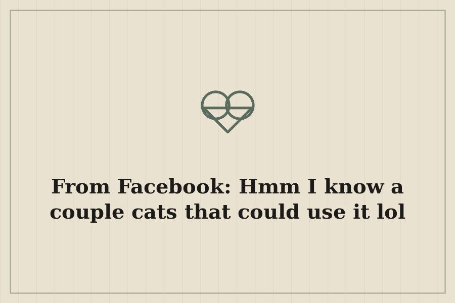 From Facebook: Hmm I know a couple cats that could use it lol — cover