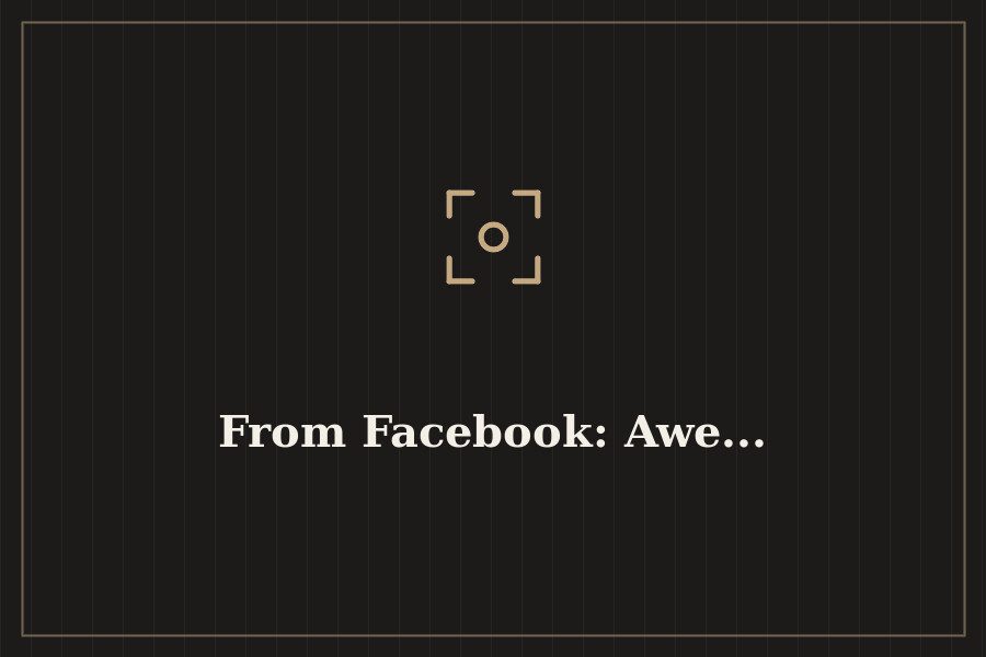 From Facebook: Awe... — cover