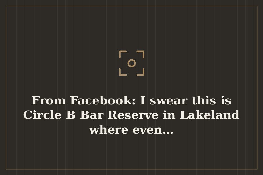 From Facebook: I swear this is Circle B Bar Reserve in Lakeland where even… — cover