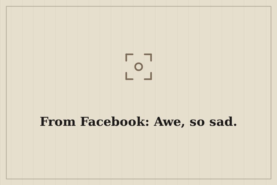 From Facebook: Awe, so sad. — cover