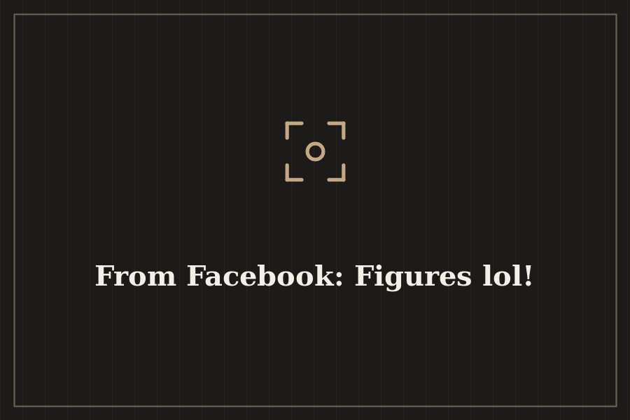 From Facebook: Figures lol! — cover