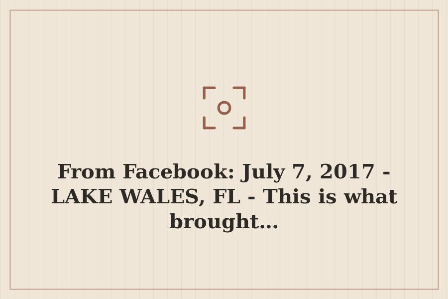 From Facebook: July 7, 2017 LAKE WALES, FL This is what brought… — cover