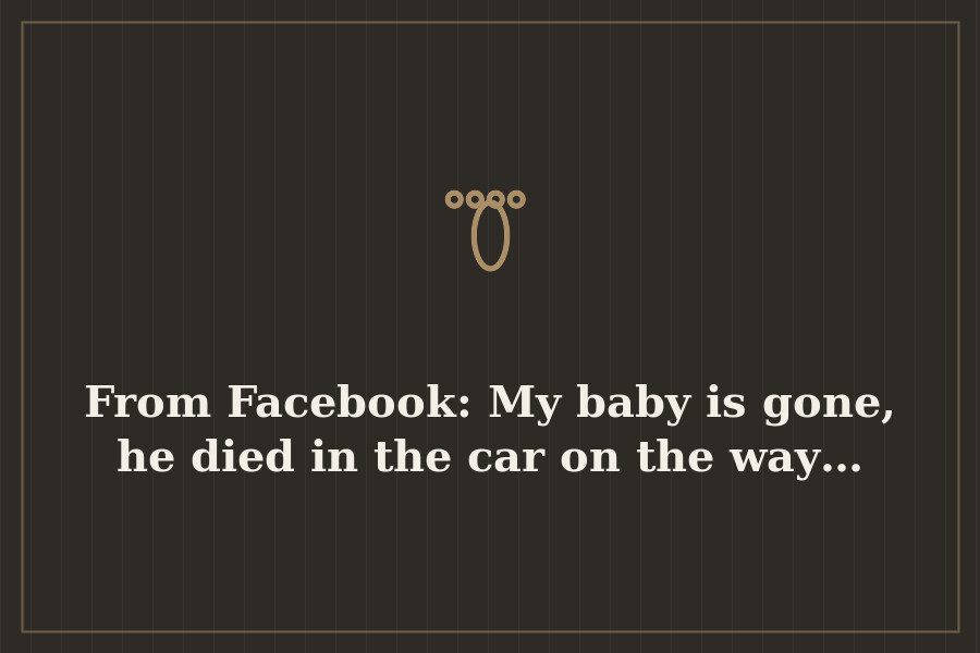 From Facebook: My baby is gone, he died in the car on the way… — cover