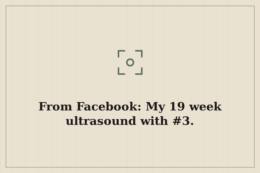 From Facebook: My 19 week ultrasound with #3. — cover