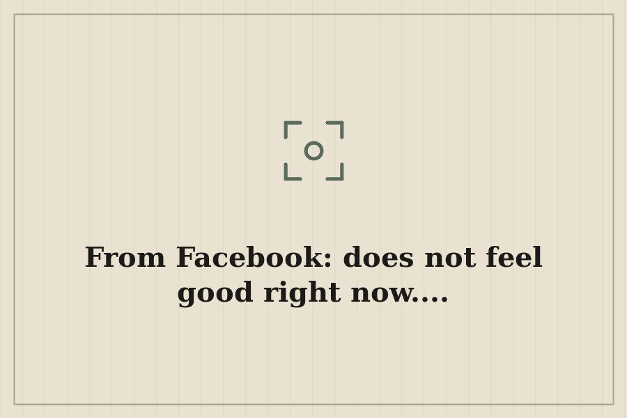 From Facebook: does not feel good right now.... — cover
