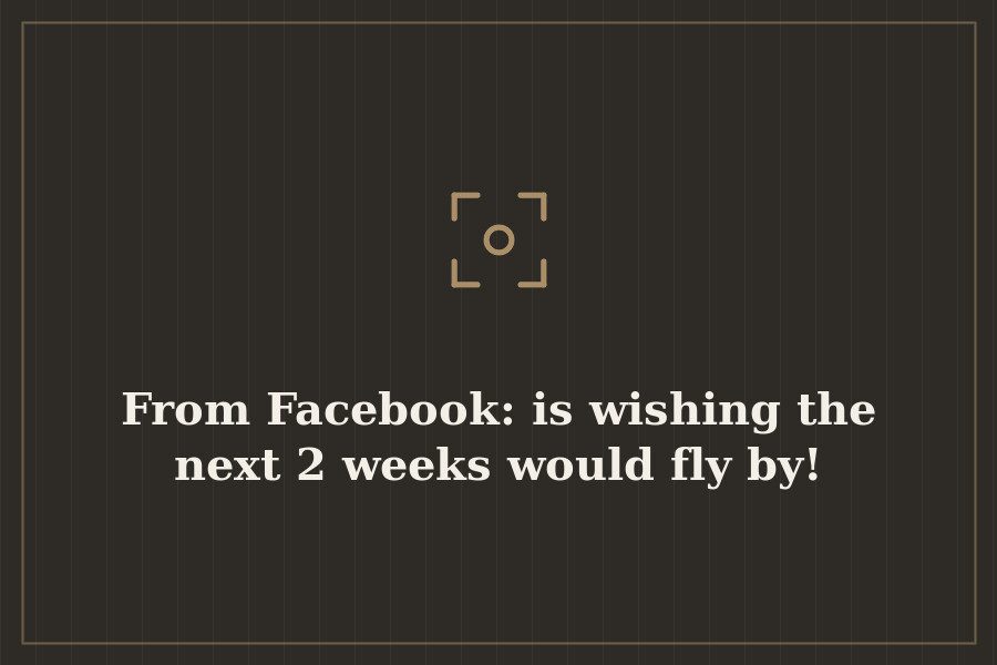 From Facebook: is wishing the next 2 weeks would fly by! — cover