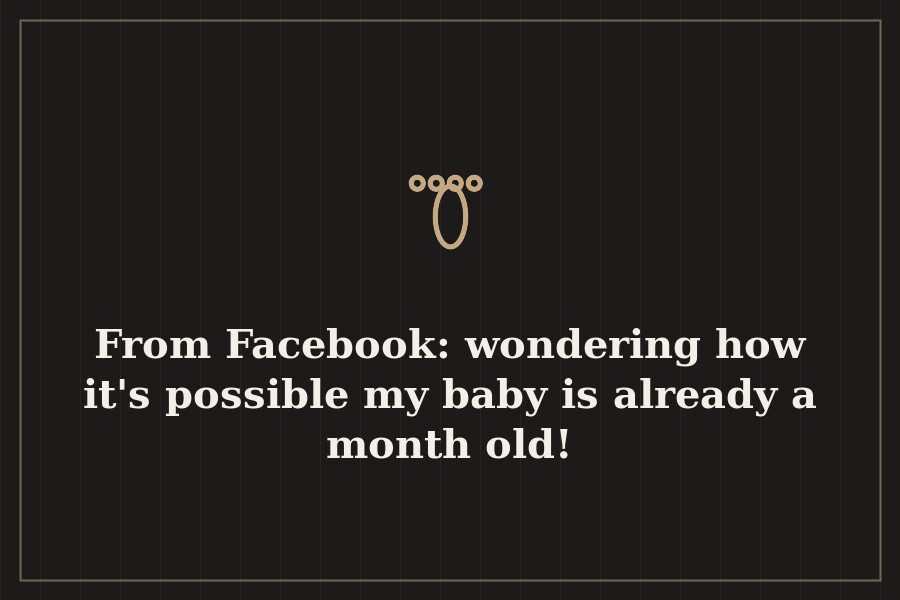 From Facebook: wondering how it's possible my baby is already a month old! — cover