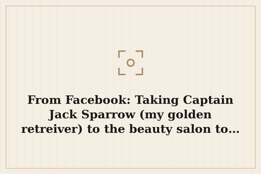 From Facebook: Taking Captain Jack Sparrow (my golden retreiver) to the beauty salon to… — cover