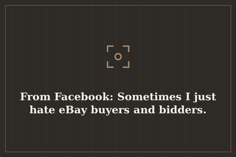 From Facebook: Sometimes I just hate eBay buyers and bidders. — cover