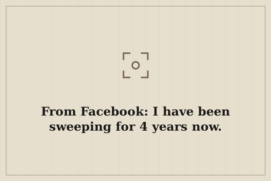 From Facebook: I have been sweeping for 4 years now. — cover