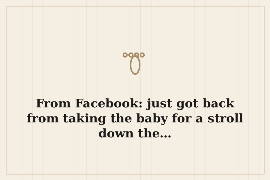 From Facebook: just got back from taking the baby for a stroll down the… — cover