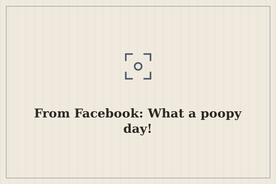 From Facebook: What a poopy day! — cover