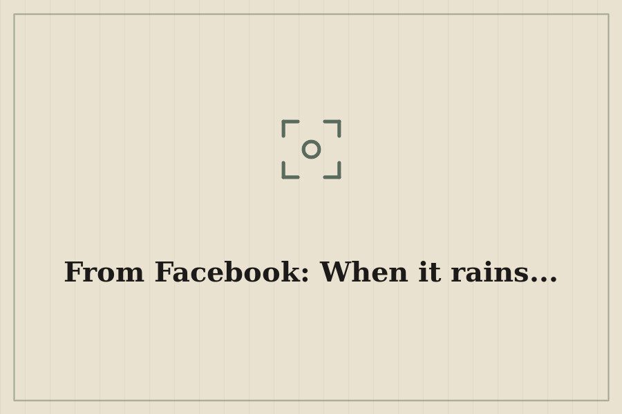 From Facebook: When it rains... — cover