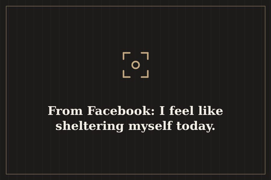 From Facebook: I feel like sheltering myself today. — cover