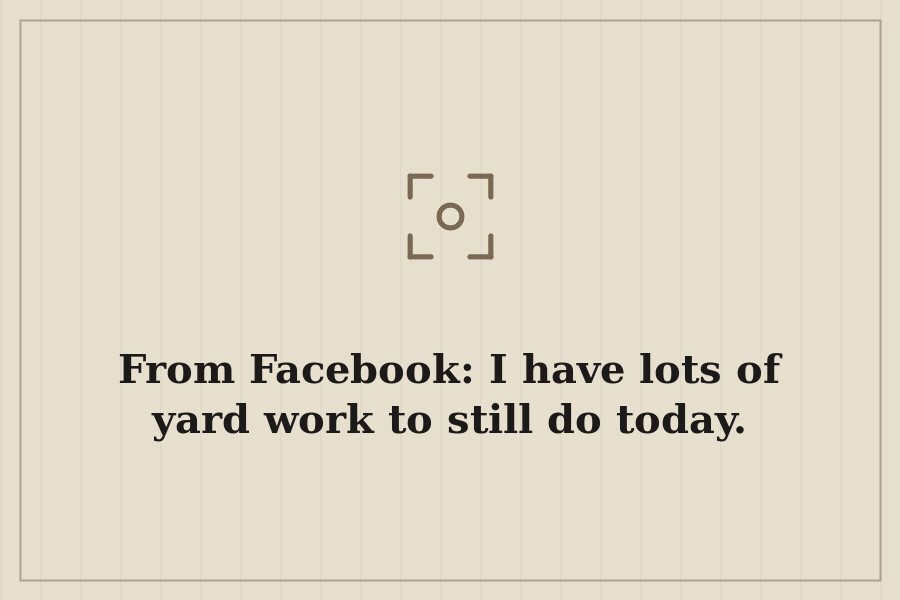 From Facebook: I have lots of yard work to still do today. — cover