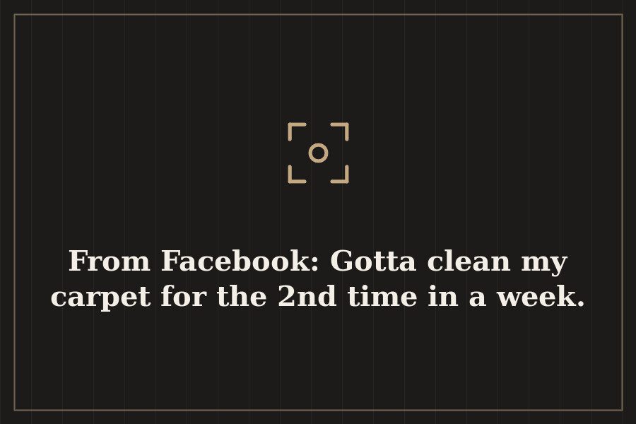 From Facebook: Gotta clean my carpet for the 2nd time in a week. — cover