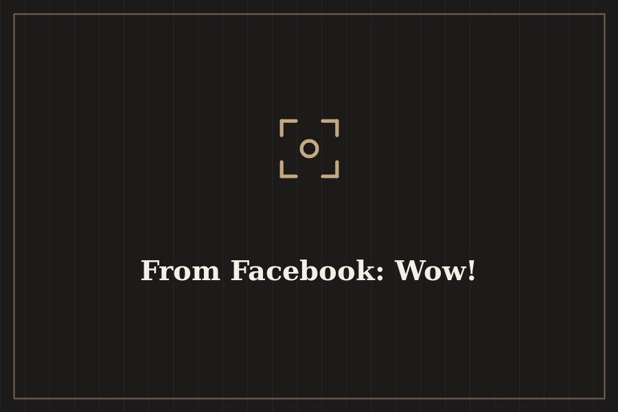 From Facebook: Wow! — cover