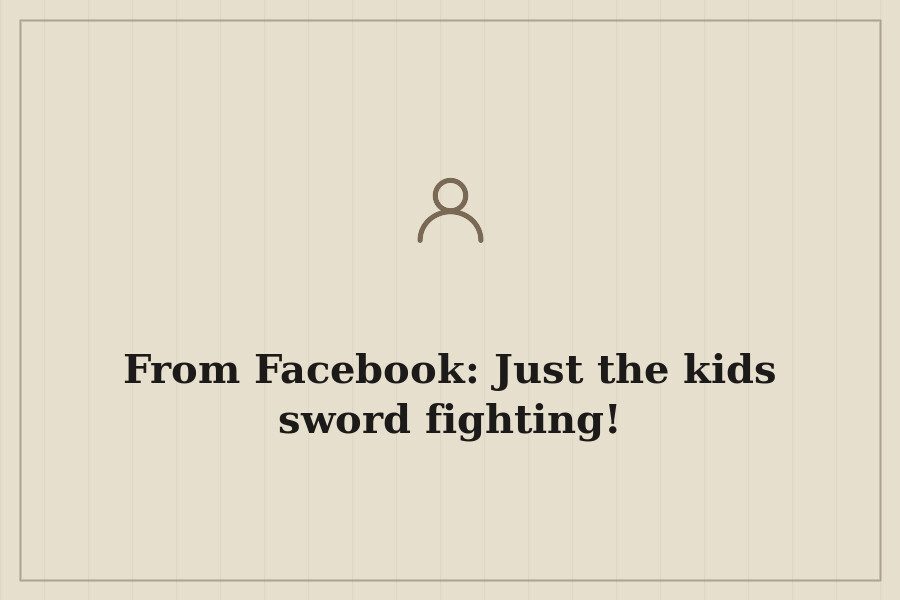 From Facebook: Just the kids sword fighting! — cover
