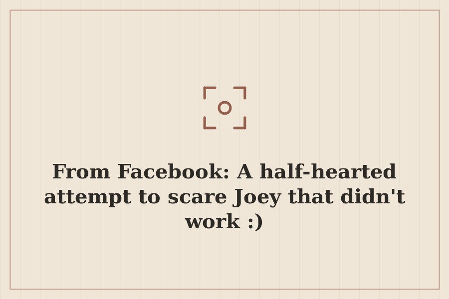 From Facebook: A half hearted attempt to scare Joey that didn't work :) — cover