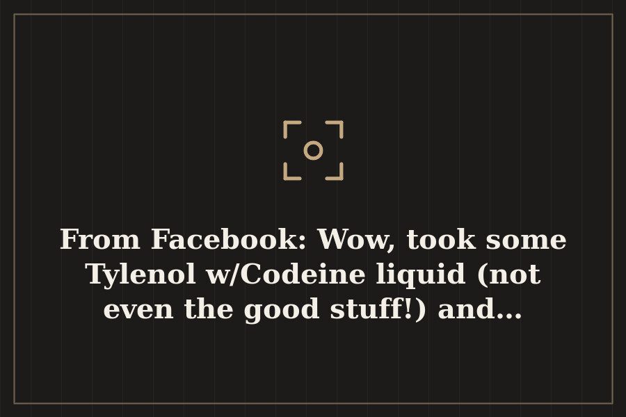 From Facebook: Wow, took some Tylenol w/Codeine liquid (not even the good stuff!) and… — cover