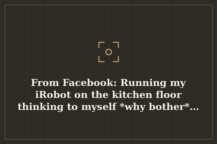 From Facebook: Running my iRobot on the kitchen floor thinking to myself *why bother*… — cover