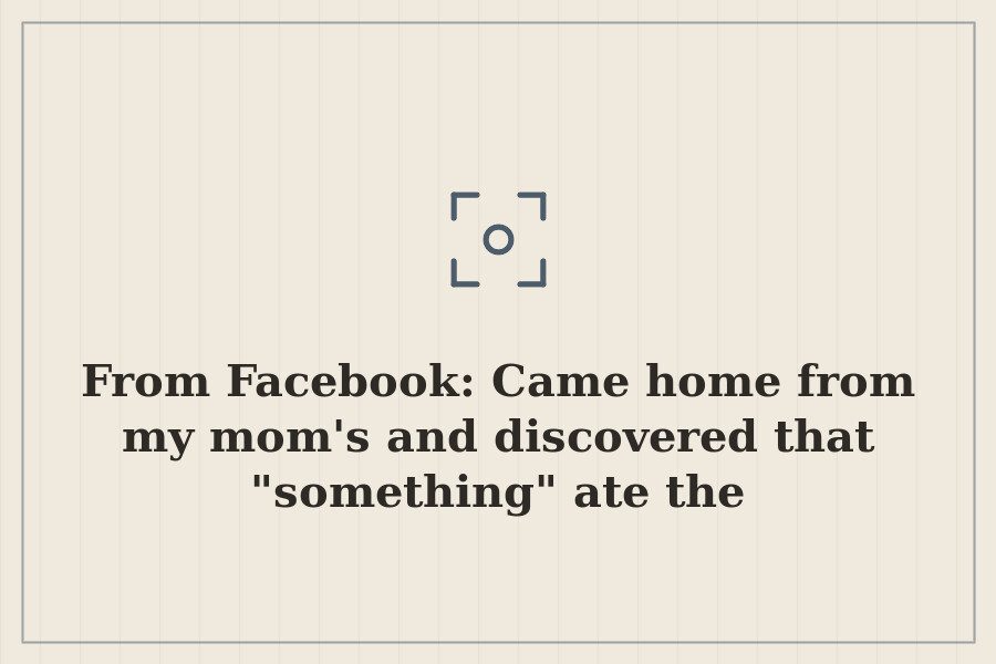 From Facebook: Came home from my mom's and discovered that "something" ate the gingerbread… — cover