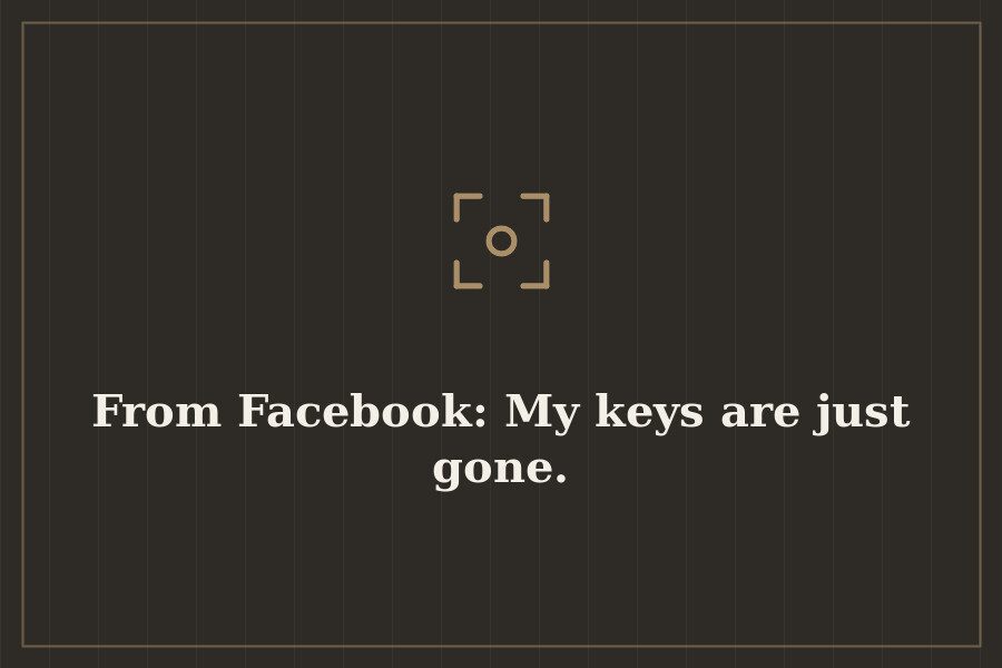 From Facebook: My keys are just gone. — cover