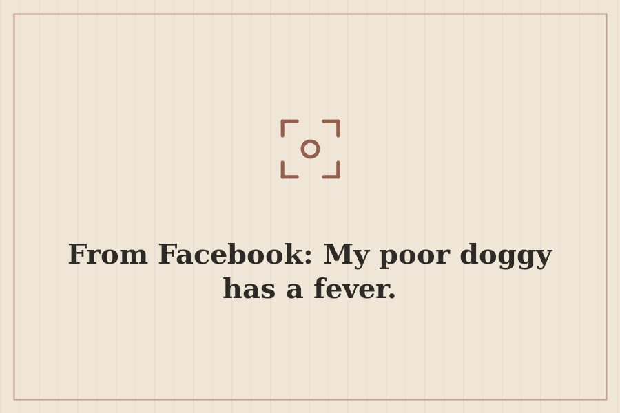 From Facebook: My poor doggy has a fever. — cover