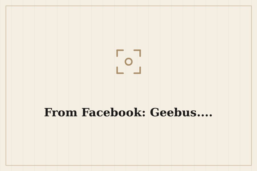From Facebook: Geebus.... — cover