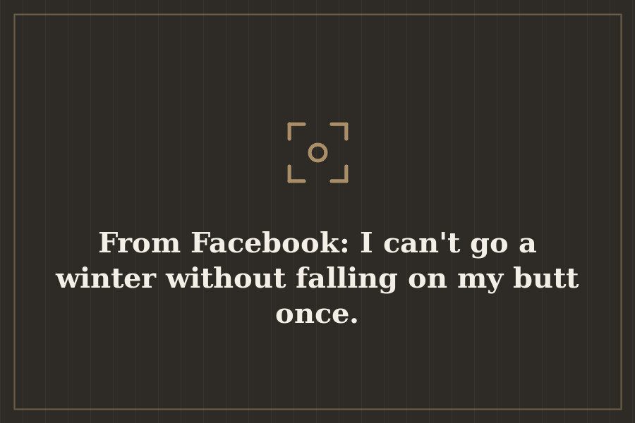 From Facebook: I can't go a winter without falling on my butt once. — cover