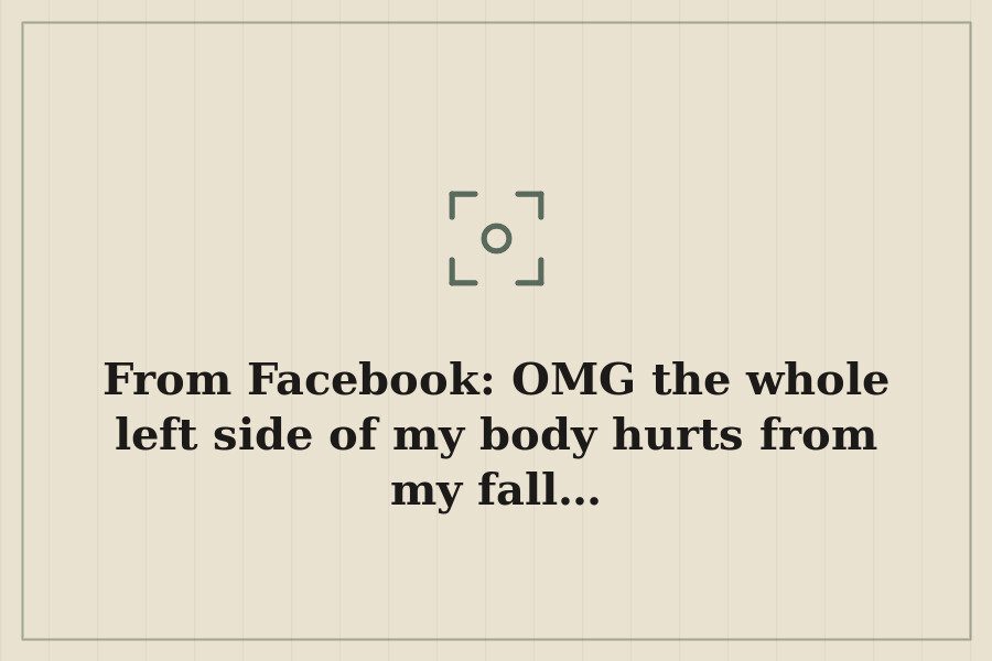 From Facebook: OMG the whole left side of my body hurts from my fall… — cover