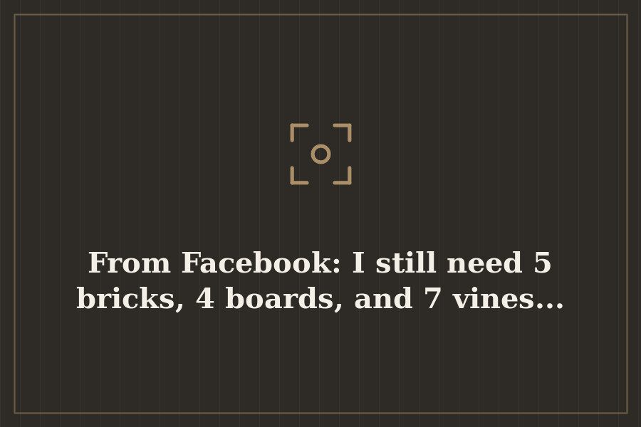 From Facebook: I still need 5 bricks, 4 boards, and 7 vines... — cover