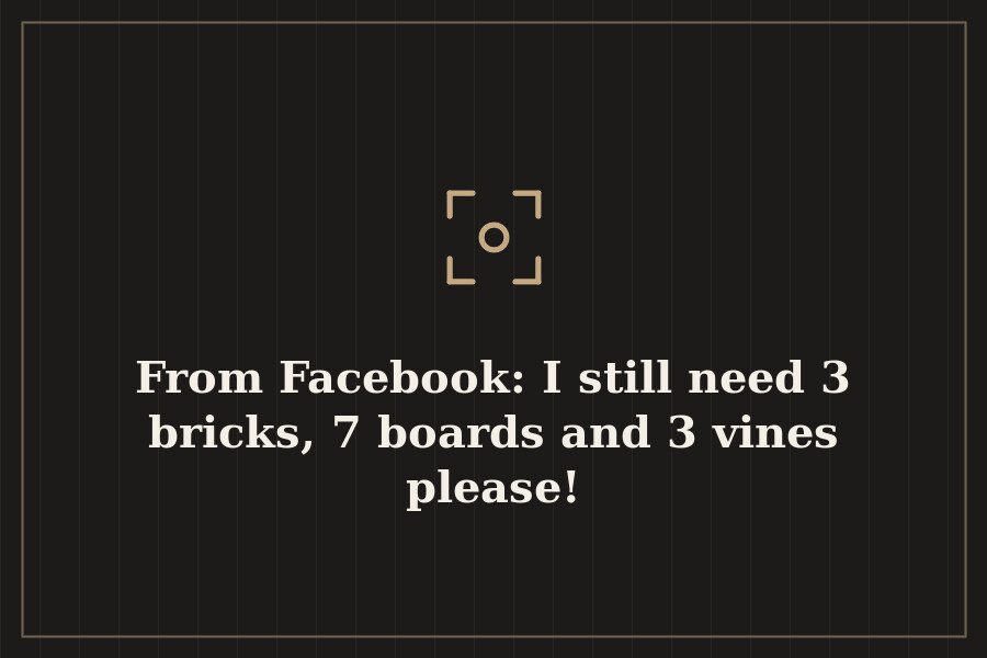 From Facebook: I still need 3 bricks, 7 boards and 3 vines please! — cover
