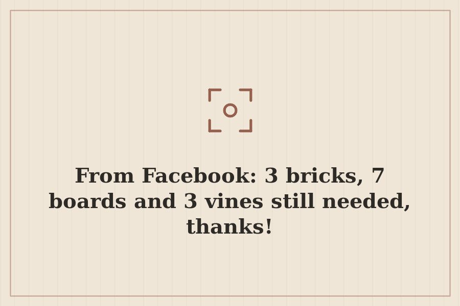 From Facebook: 3 bricks, 7 boards and 3 vines still needed, thanks! — cover