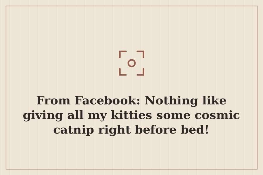 From Facebook: Nothing like giving all my kitties some cosmic catnip right before bed! — cover